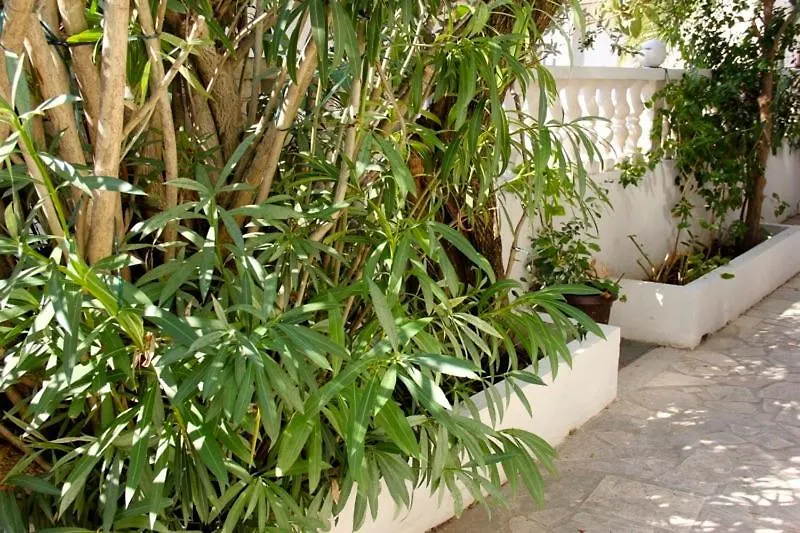Apartments Jasmin Trogir